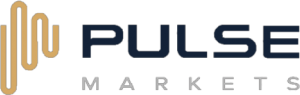 BIR Financial Limited - Pulse Markets logo